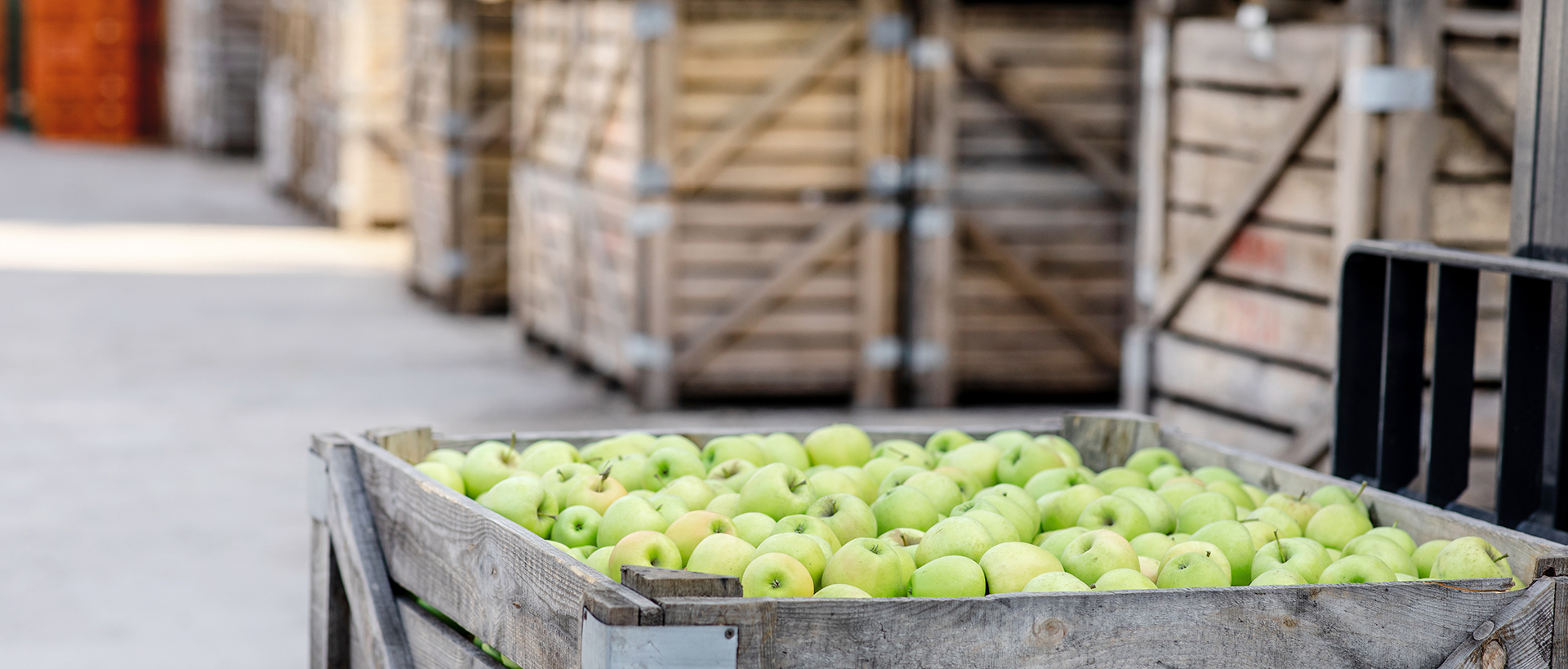 Modernisation d&rsquo;un entrepôt dans l’industrie agroalimentaire